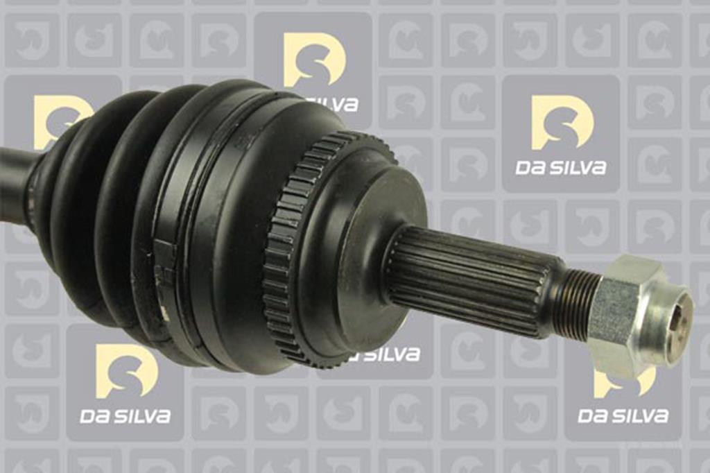 Cardã DA SILVA S.A.S. 99343AT