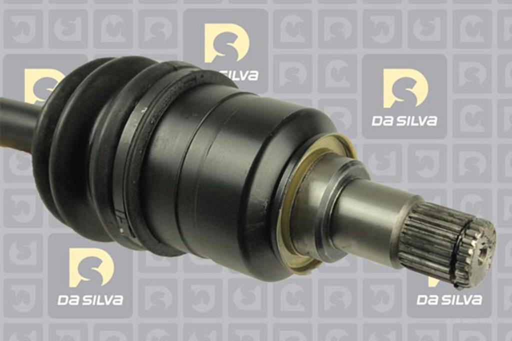 Cardã DA SILVA S.A.S. 99343AT