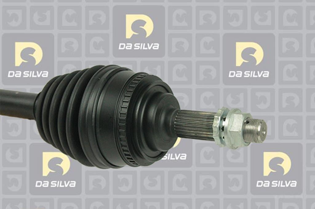Cardã DA SILVA S.A.S. 99345AT