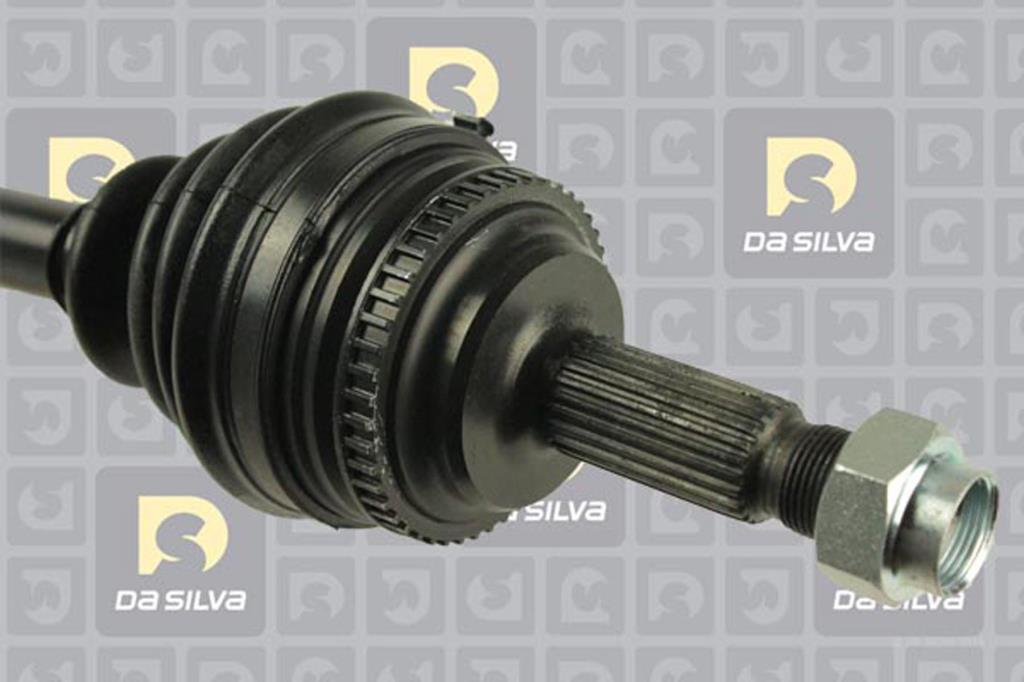 Cardan DA SILVA S.A.S. 99501AT