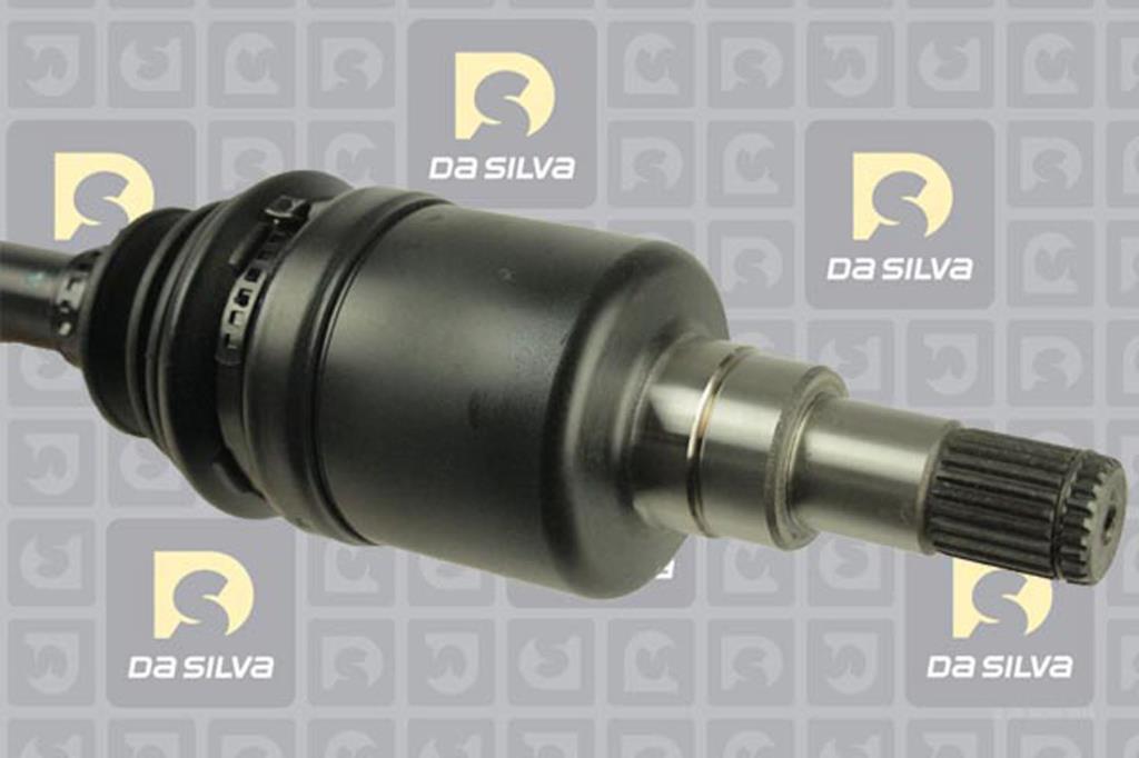 Cardan DA SILVA S.A.S. 99501AT