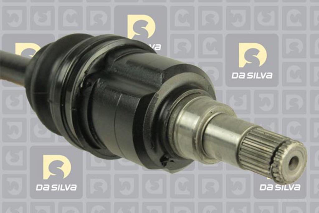 Cardan DA SILVA S.A.S. 99501T