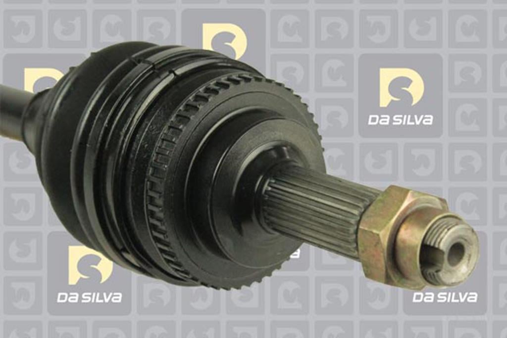Cardan DA SILVA S.A.S. 99501T