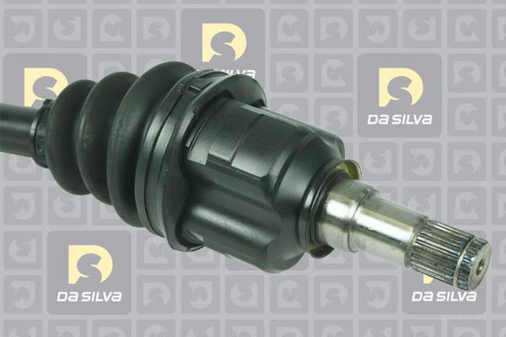 Cardan DA SILVA S.A.S. 99506AT