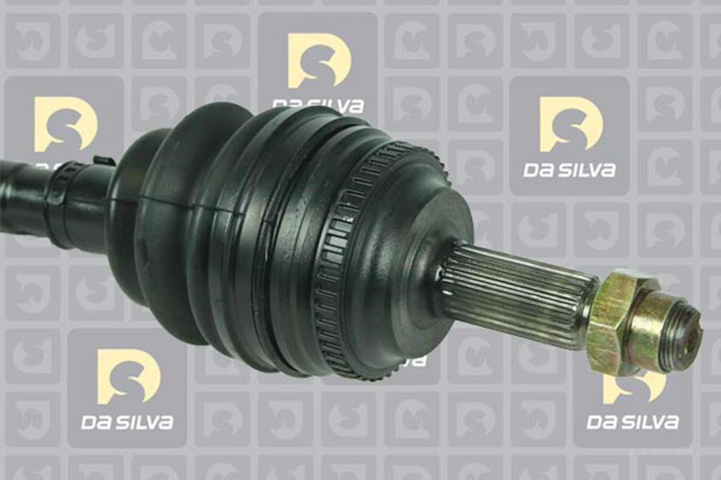 Cardan DA SILVA S.A.S. 99506AT