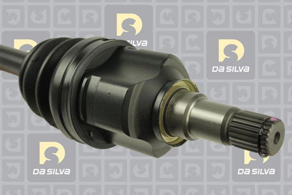 Cardan DA SILVA S.A.S. 99508AT