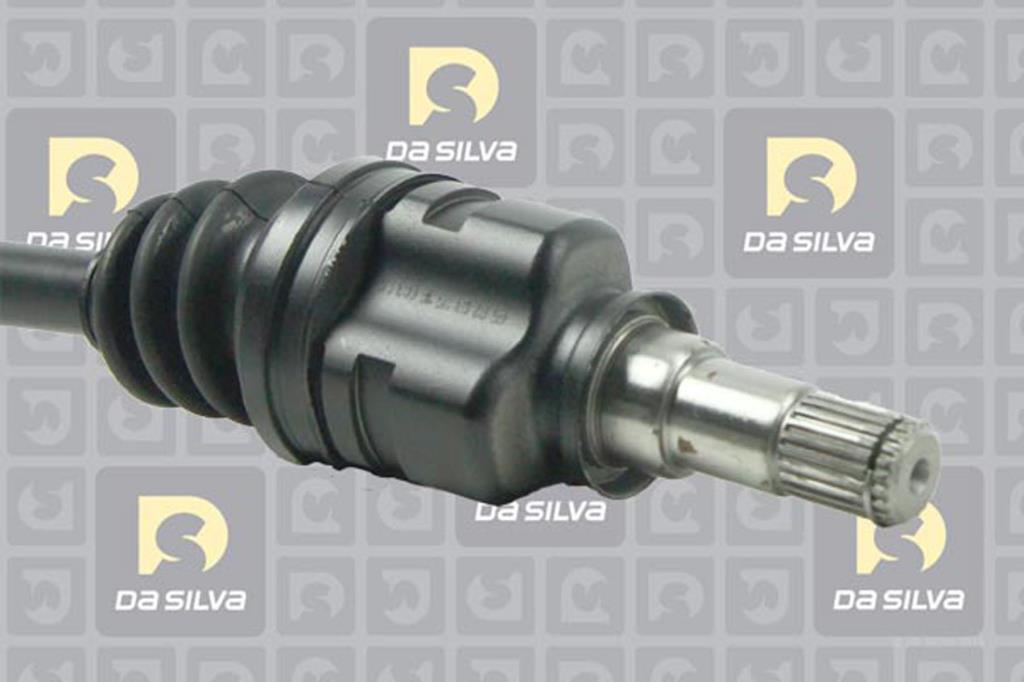 Cardan DA SILVA S.A.S. 99513T