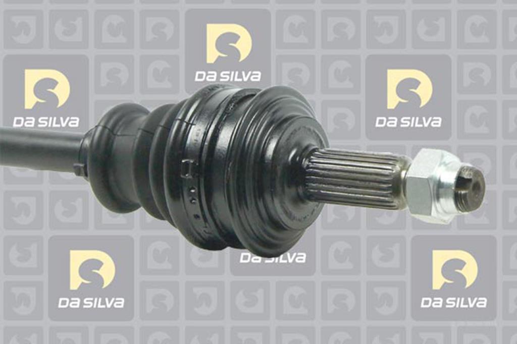 Cardan DA SILVA S.A.S. 99513T