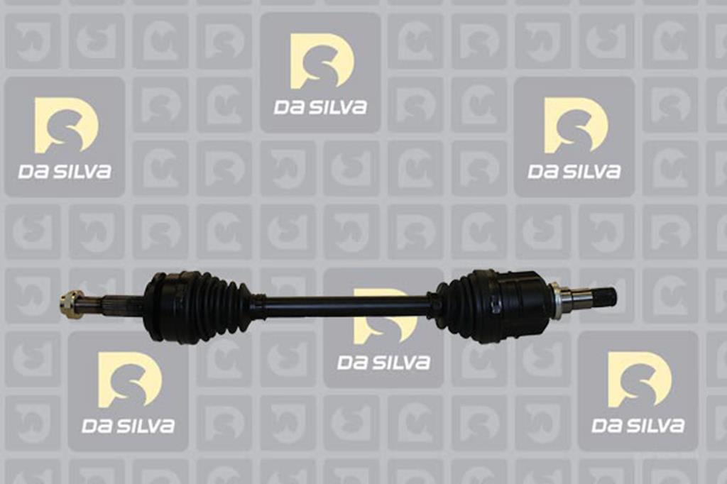 Cardã DA SILVA S.A.S. 99521T