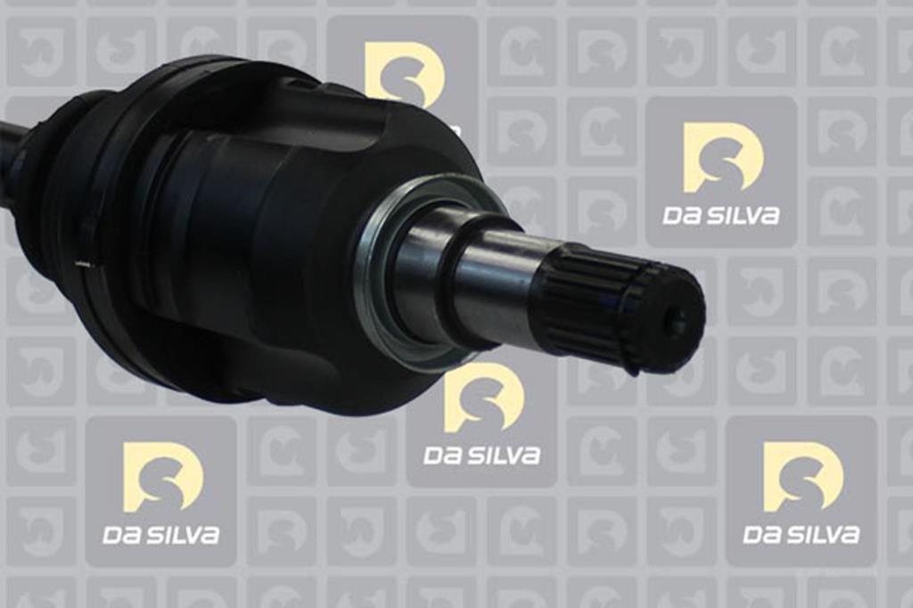 Cardã DA SILVA S.A.S. 99521T