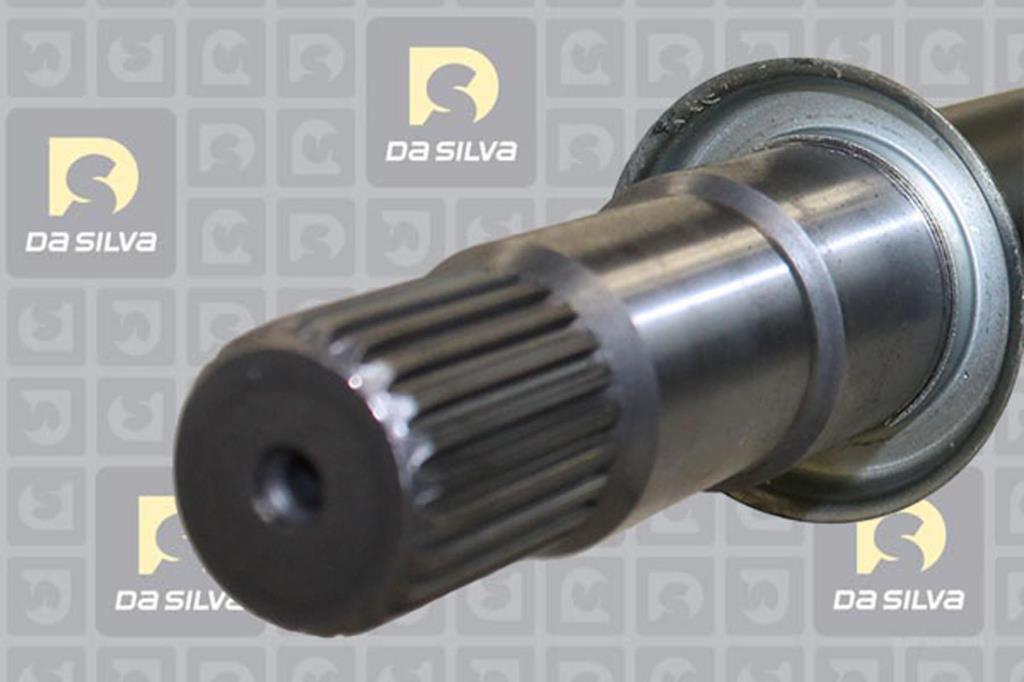 Cardã DA SILVA S.A.S. 99524T