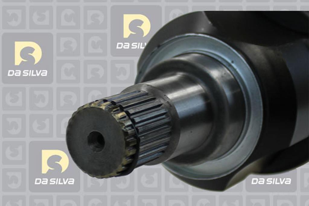 Cardan DA SILVA S.A.S. 99527T