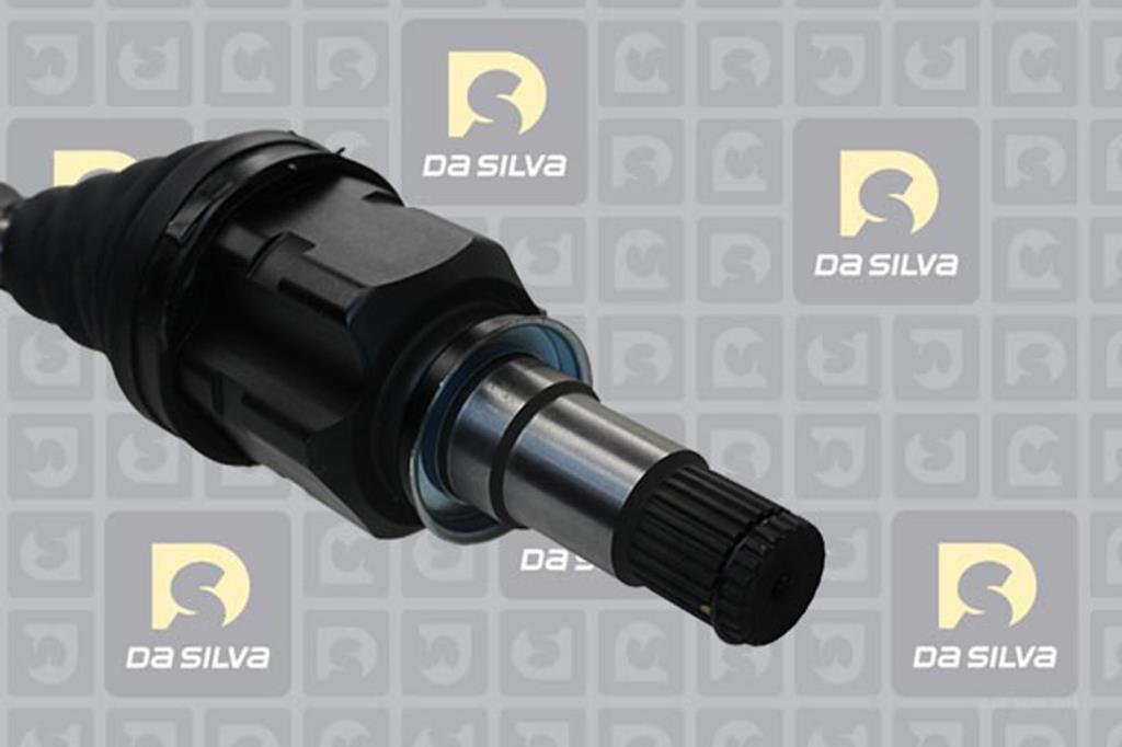Cardã DA SILVA S.A.S. 99528T