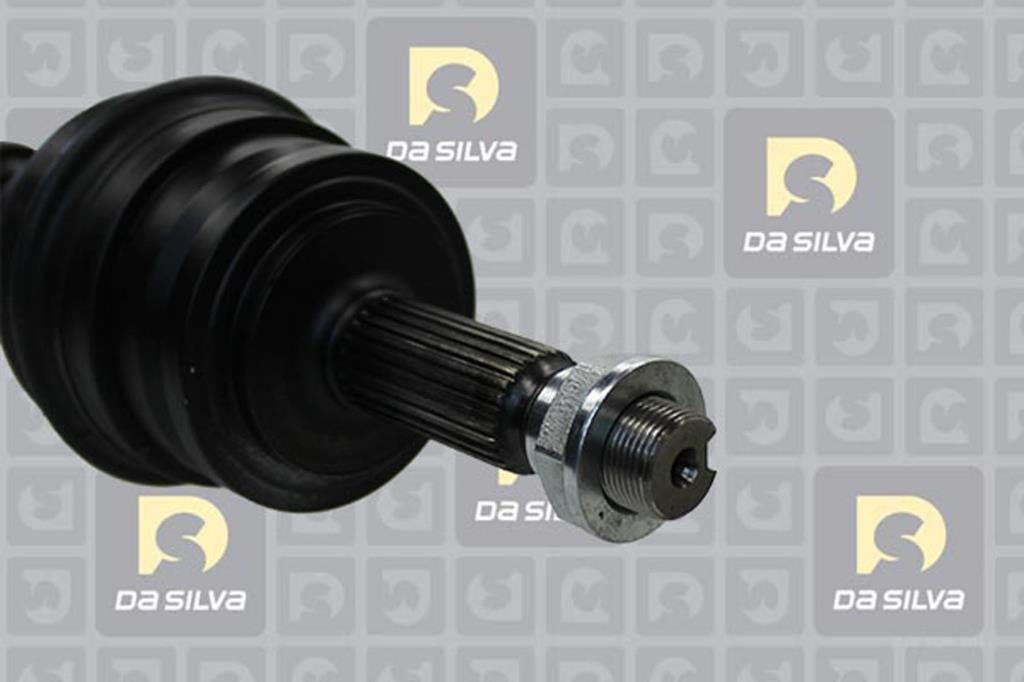 Cardan DA SILVA S.A.S. 99529T