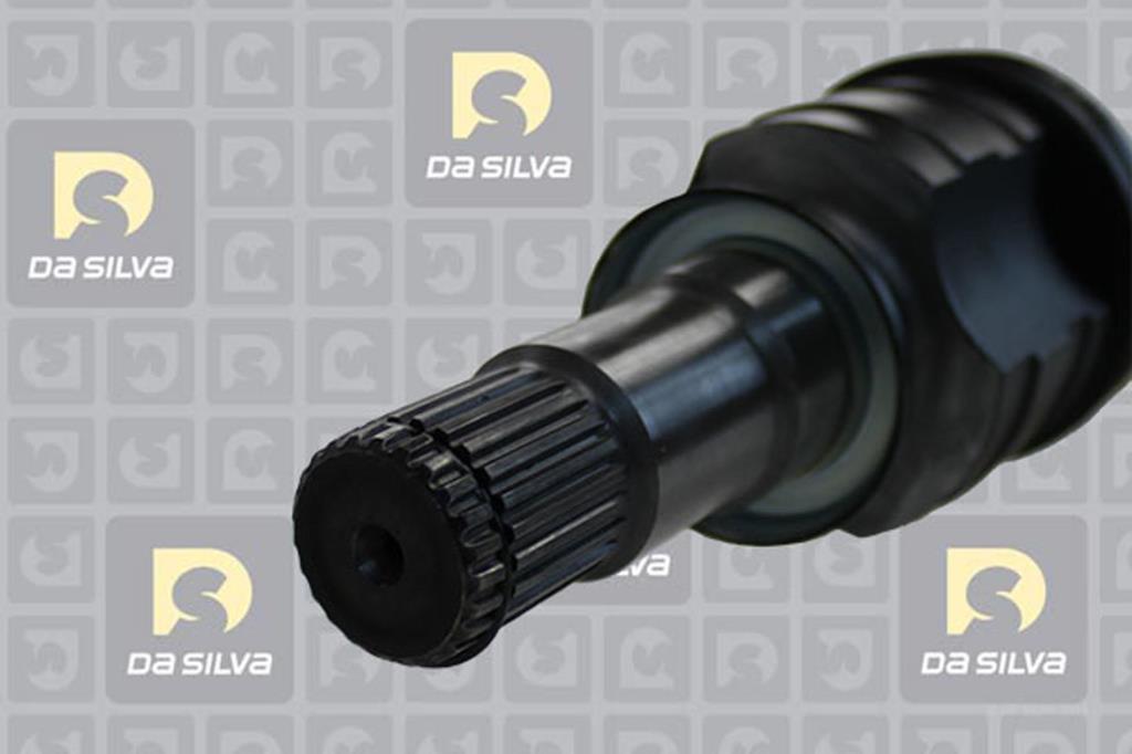 Cardã DA SILVA S.A.S. 99540T