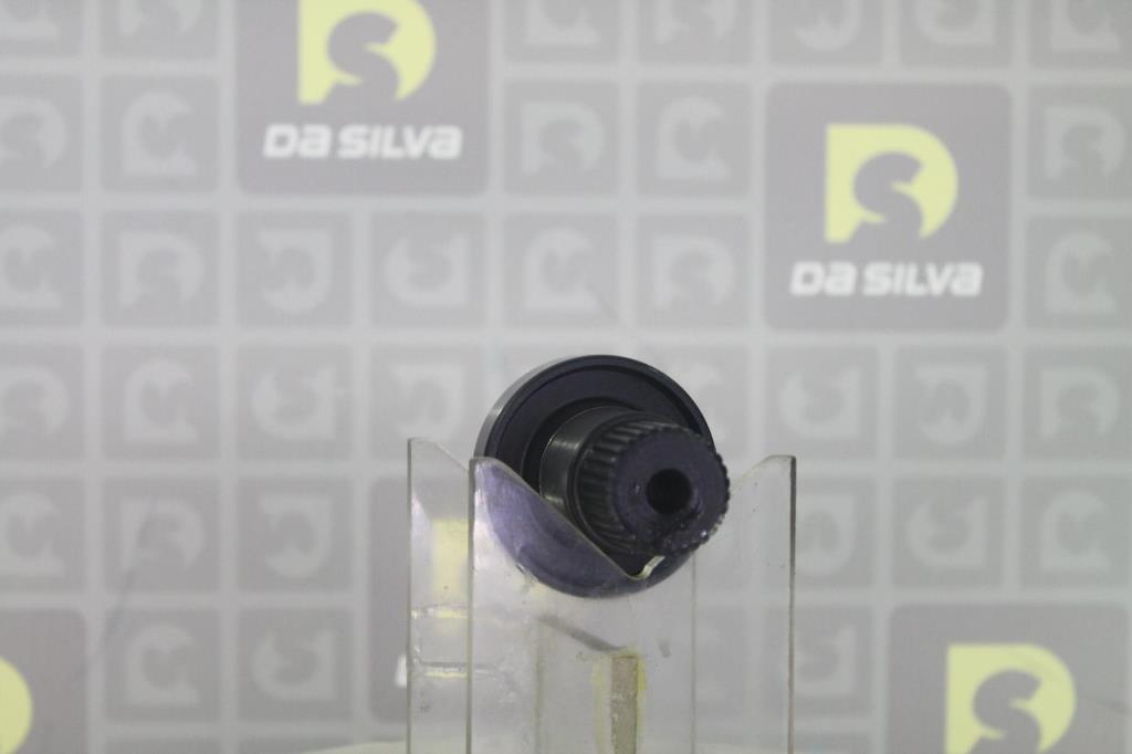 Arbre d'entraînement, différentiel DA SILVA S.A.S. ARCOUP4