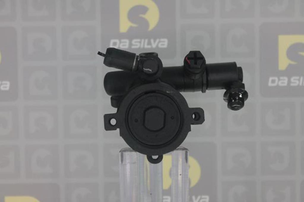 Pompe de direction assistée (Servo direction) DA SILVA S.A.S. DP2120