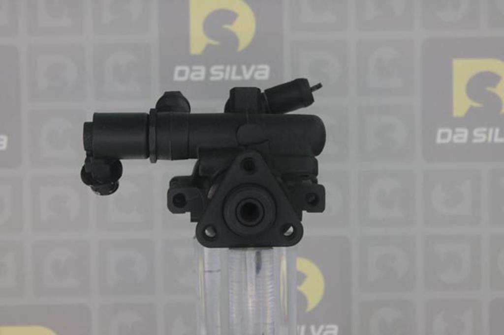Pompe de direction assistée (Servo direction) DA SILVA S.A.S. DP2120
