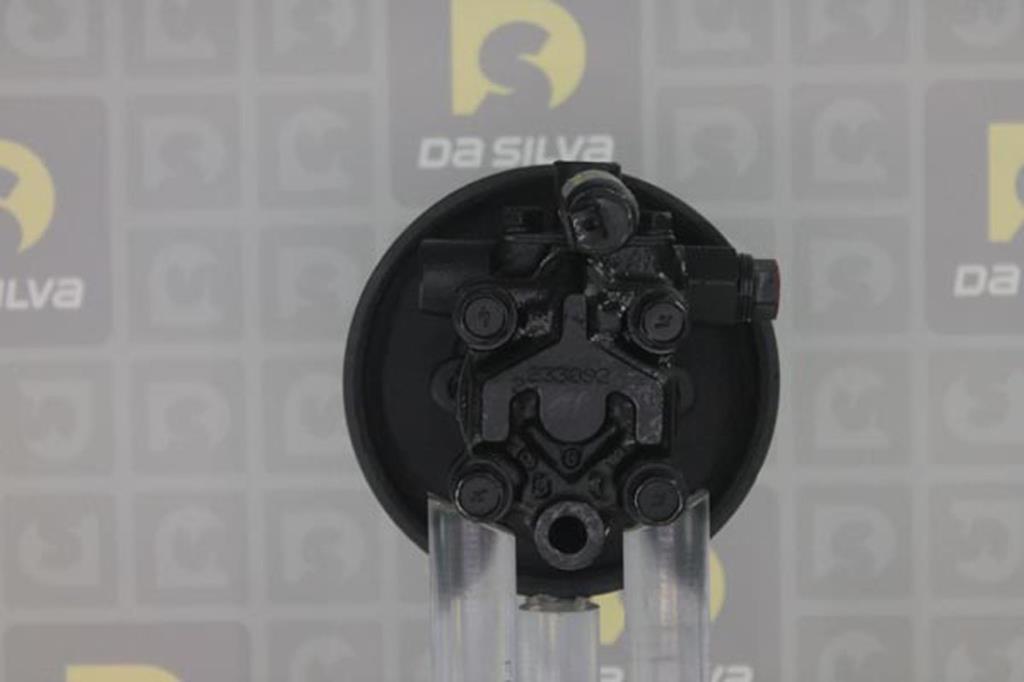 Pompe de direction assistée (Servo direction) DA SILVA S.A.S. ref. DP2135