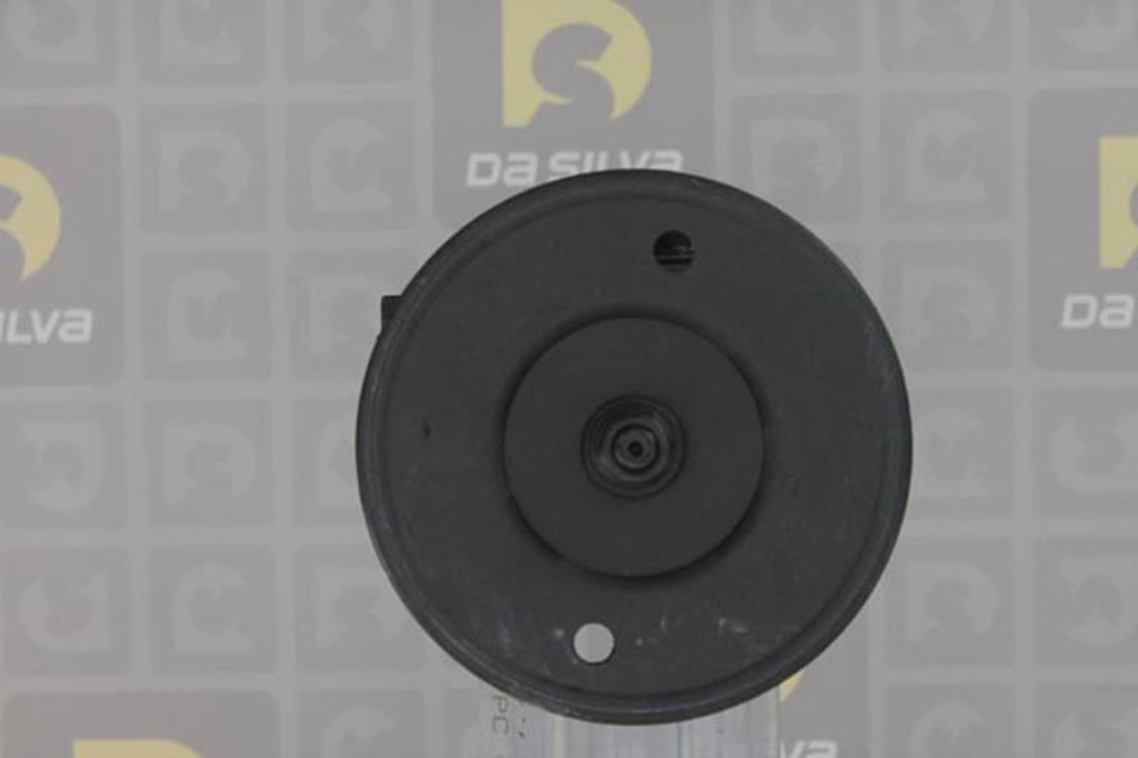 Pompe de direction assistée (Servo direction) DA SILVA S.A.S. ref. DP2135