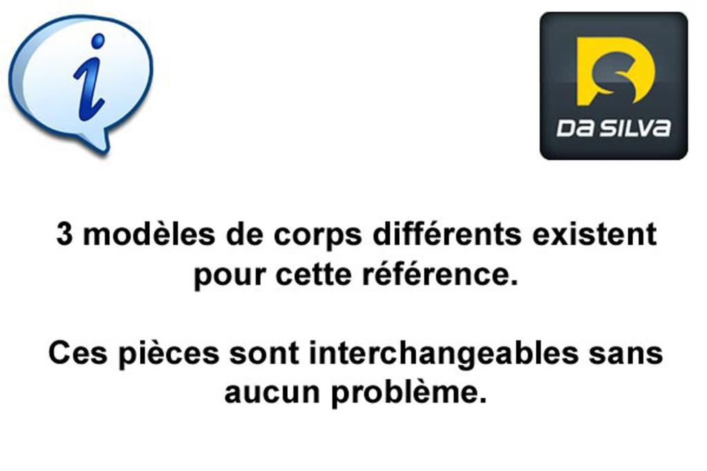Pompe de direction assistée (Servo direction) DA SILVA S.A.S. ref. DP2189