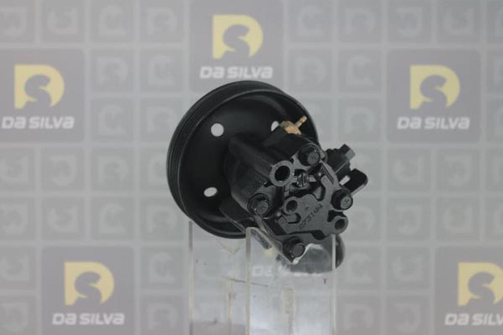 Pompe de direction assistée (Servo direction) DA SILVA S.A.S. DP2310