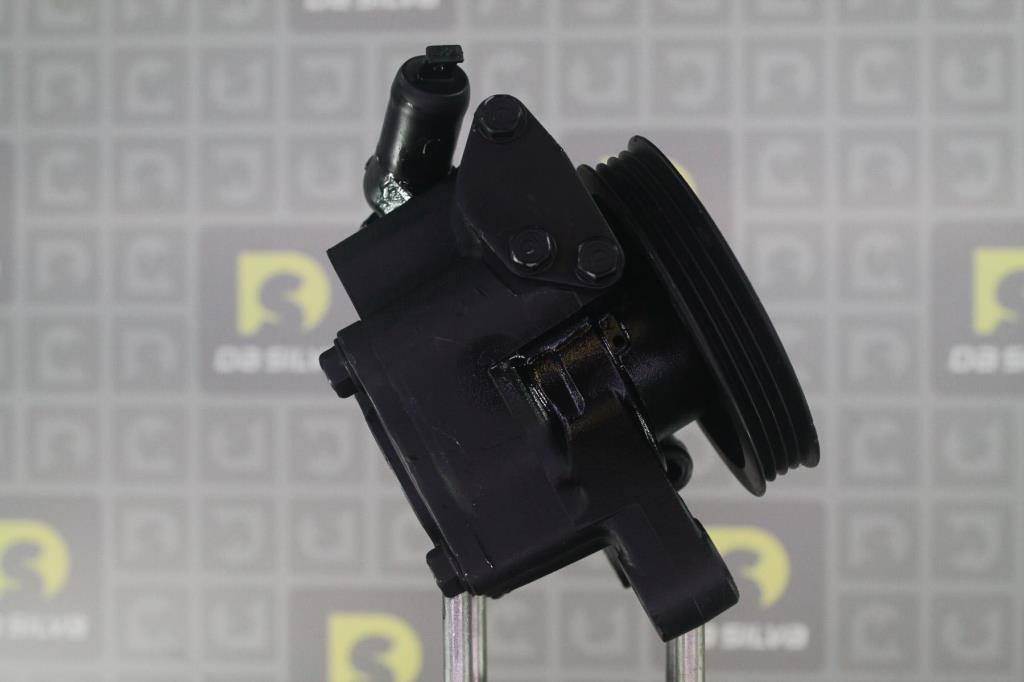 Pompe de direction assistée (Servo direction) DA SILVA S.A.S. ref. DP2313