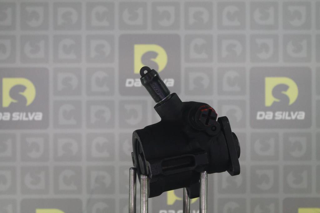Pompe de direction assistée (Servo direction) DA SILVA S.A.S. DP2316