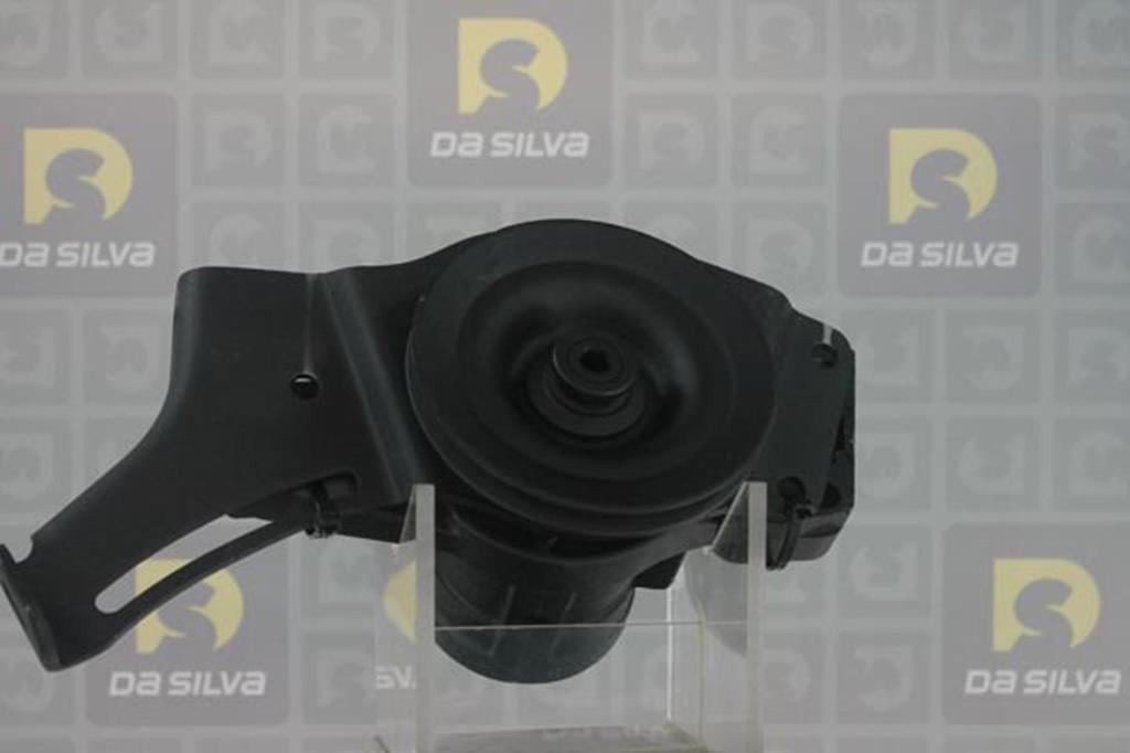 Pompe de direction assistée (Servo direction) DA SILVA S.A.S. DP2418