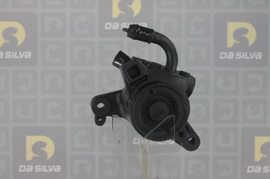 Pompe de direction assistée (Servo direction) DA SILVA S.A.S. ref. DP2478