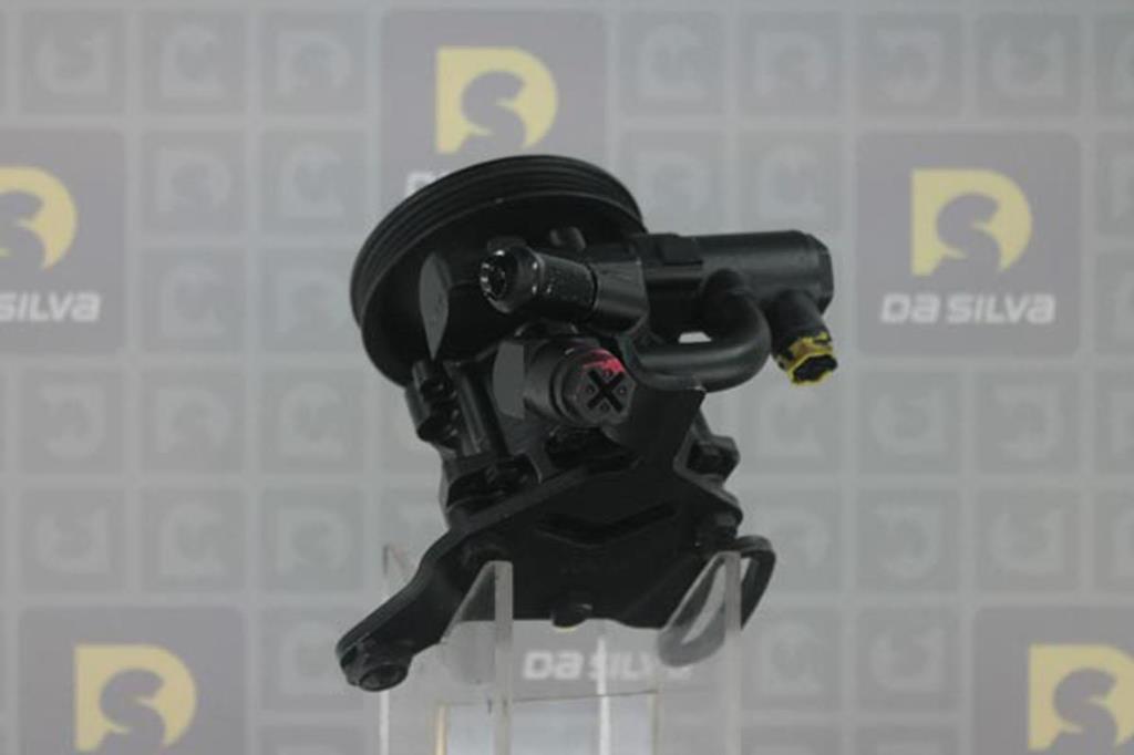 Pompe de direction assistée (Servo direction) DA SILVA S.A.S. DP2579