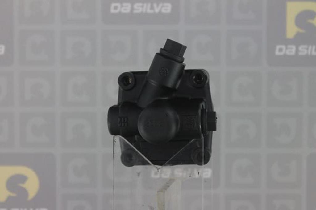Pompe de direction assistée (Servo direction) DA SILVA S.A.S. DP2645