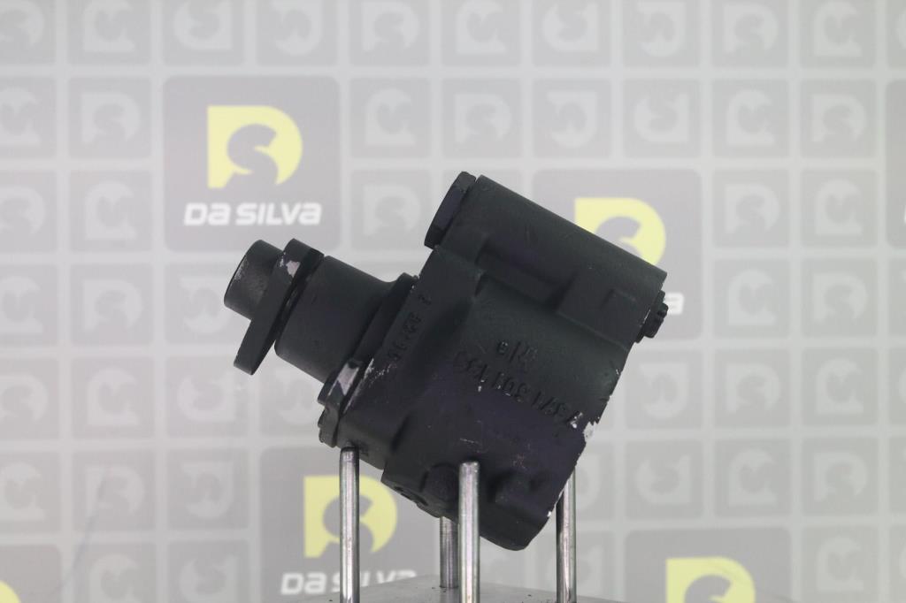 Pompe de direction assistée (Servo direction) DA SILVA S.A.S. DP2675