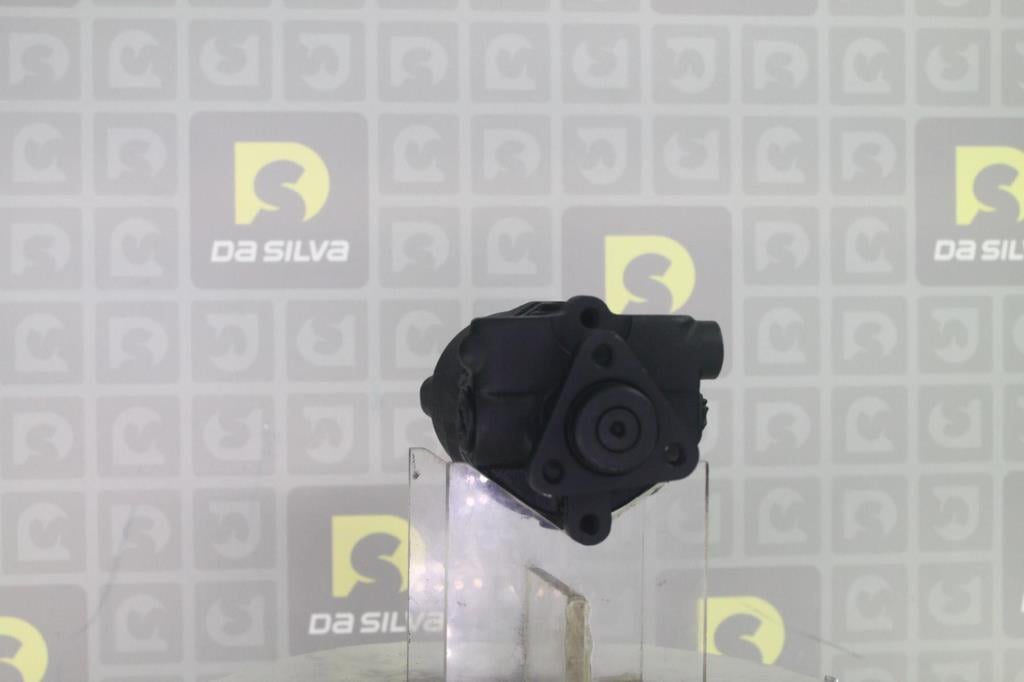 Pompe de direction assistée (Servo direction) DA SILVA S.A.S. ref. DP2759