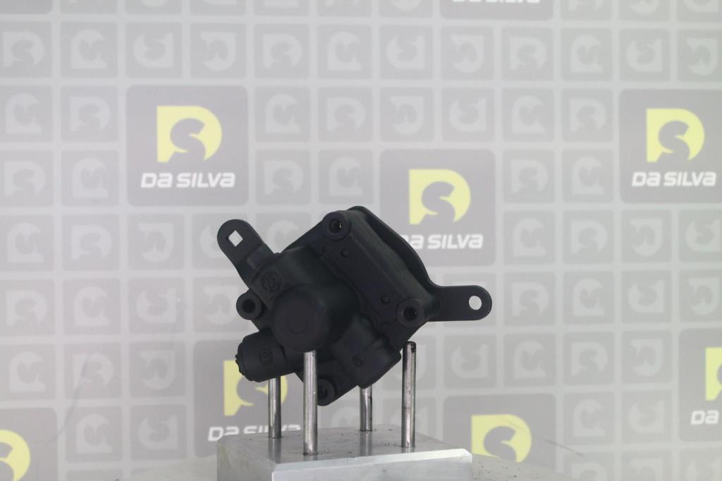 Pompe de direction assistée (Servo direction) DA SILVA S.A.S. DP2768