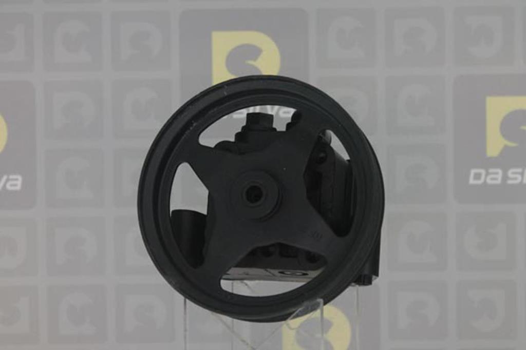 Pompe de direction assistée (Servo direction) DA SILVA S.A.S. DP2825