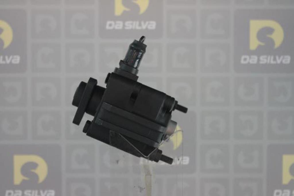 Pompe de direction assistée (Servo direction) DA SILVA S.A.S. DP2897