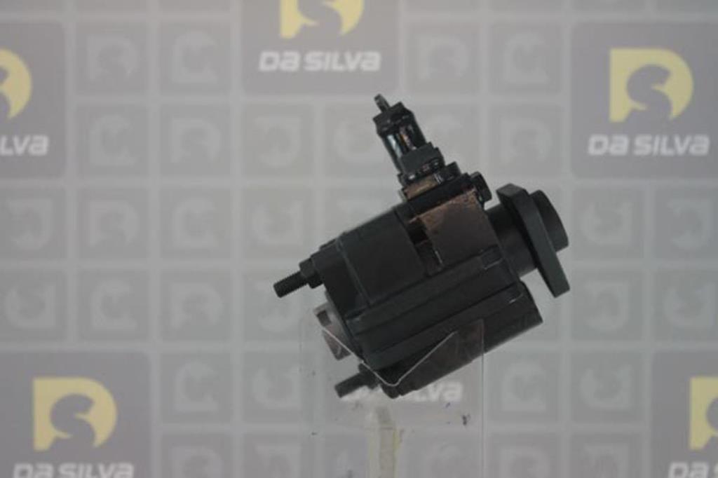 Pompe de direction assistée (Servo direction) DA SILVA S.A.S. DP2897