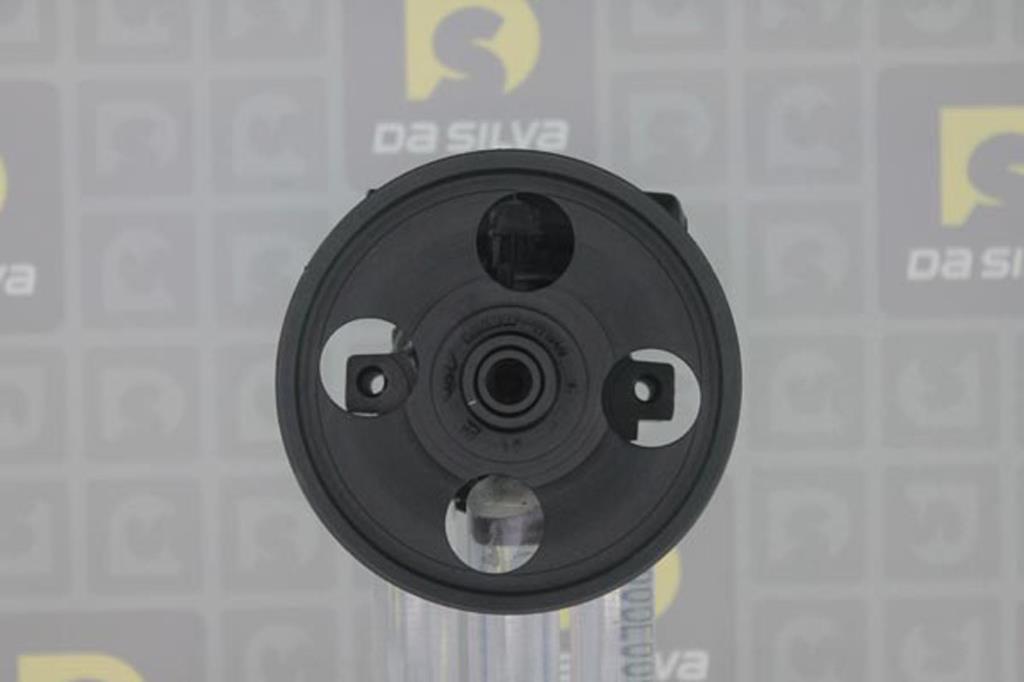 Pompe de direction assistée (Servo direction) DA SILVA S.A.S. ref. DP2919