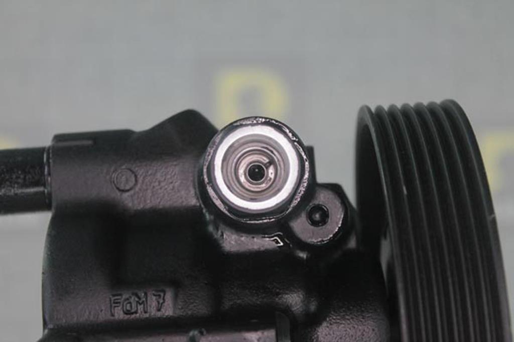 Pompe de direction assistée (Servo direction) DA SILVA S.A.S. ref. DP2919