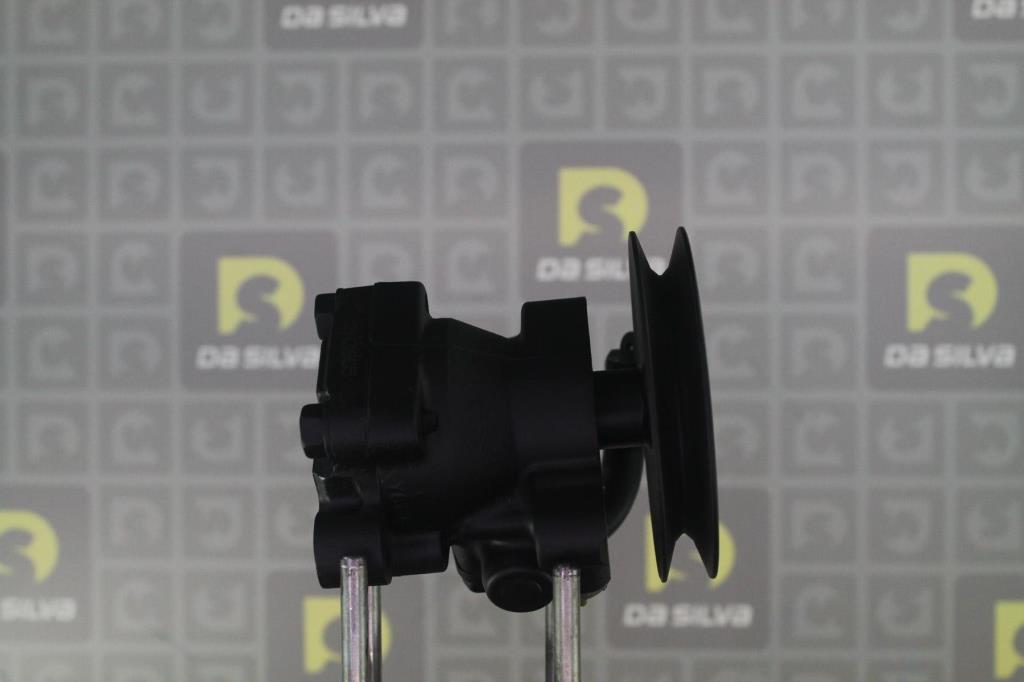 Pompe de direction assistée (Servo direction) DA SILVA S.A.S. ref. DP2933