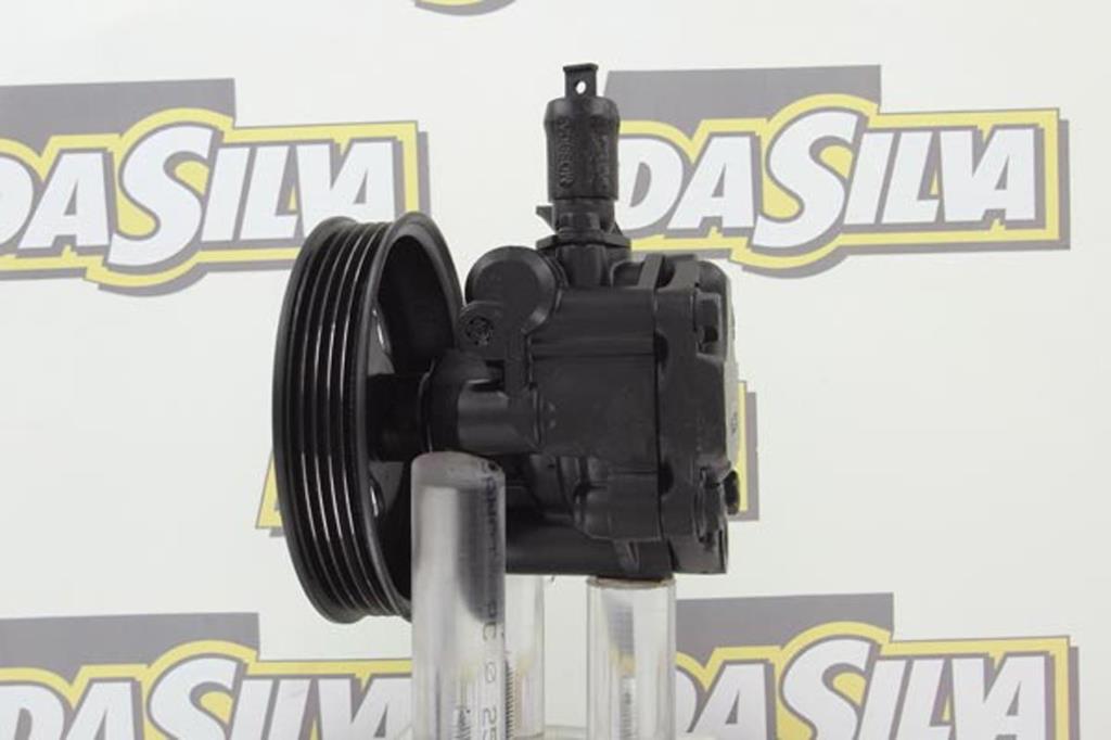 Pompe de direction assistée (Servo direction) DA SILVA S.A.S. DP3027