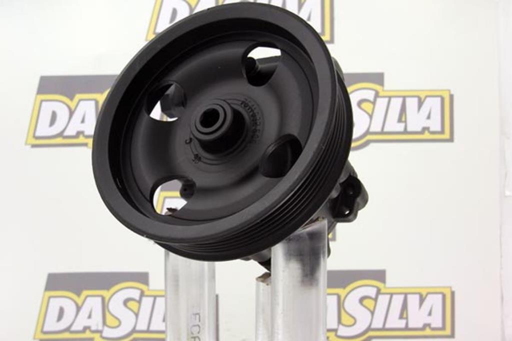 Pompe de direction assistée (Servo direction) DA SILVA S.A.S. ref. DP3074
