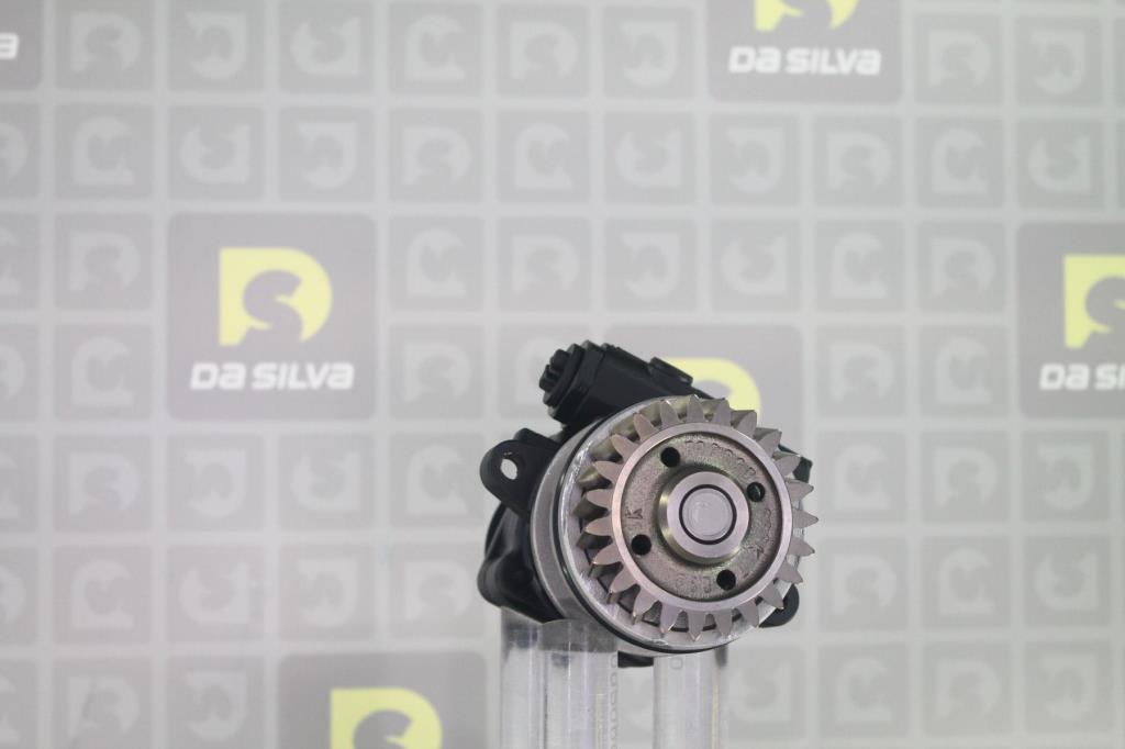 Pompe de direction assistée (Servo direction) DA SILVA S.A.S. DP3200