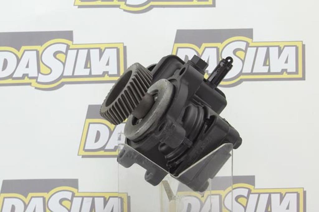 Pompe de direction assistée (Servo direction) DA SILVA S.A.S. ref. DP3206