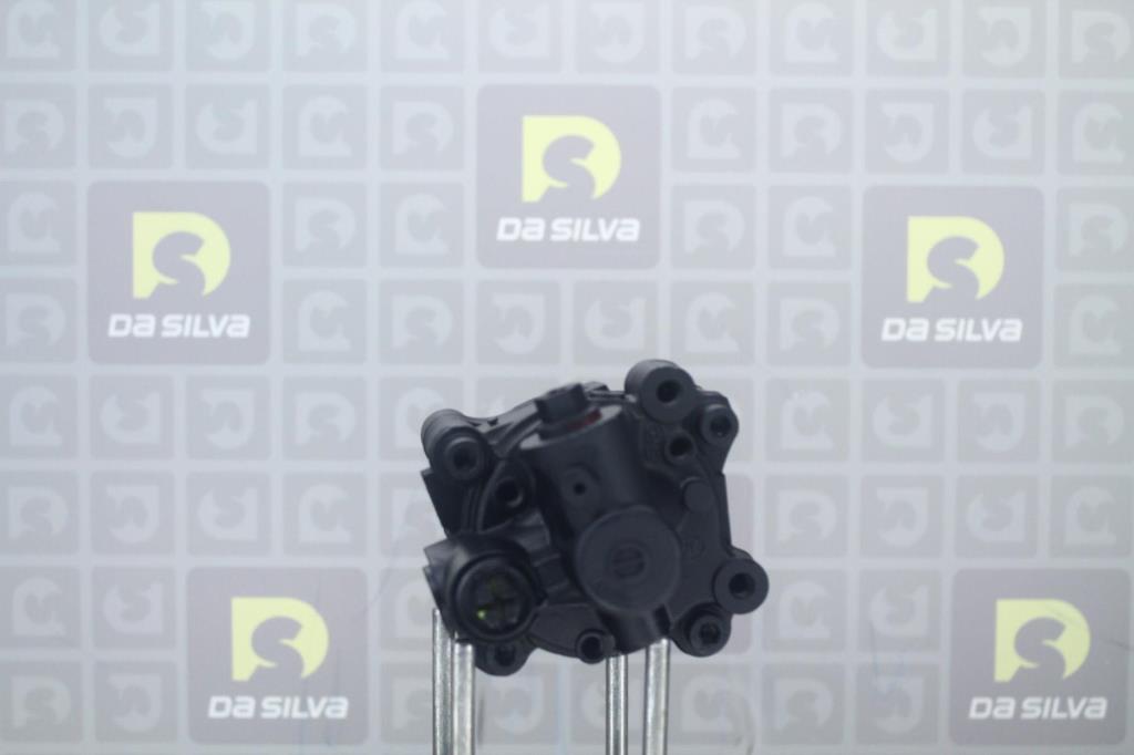 Pompe de direction assistée (Servo direction) DA SILVA S.A.S. DP3221