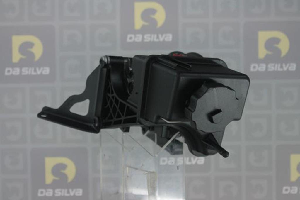 Pompe de direction assistée (Servo direction) DA SILVA S.A.S. DP3270