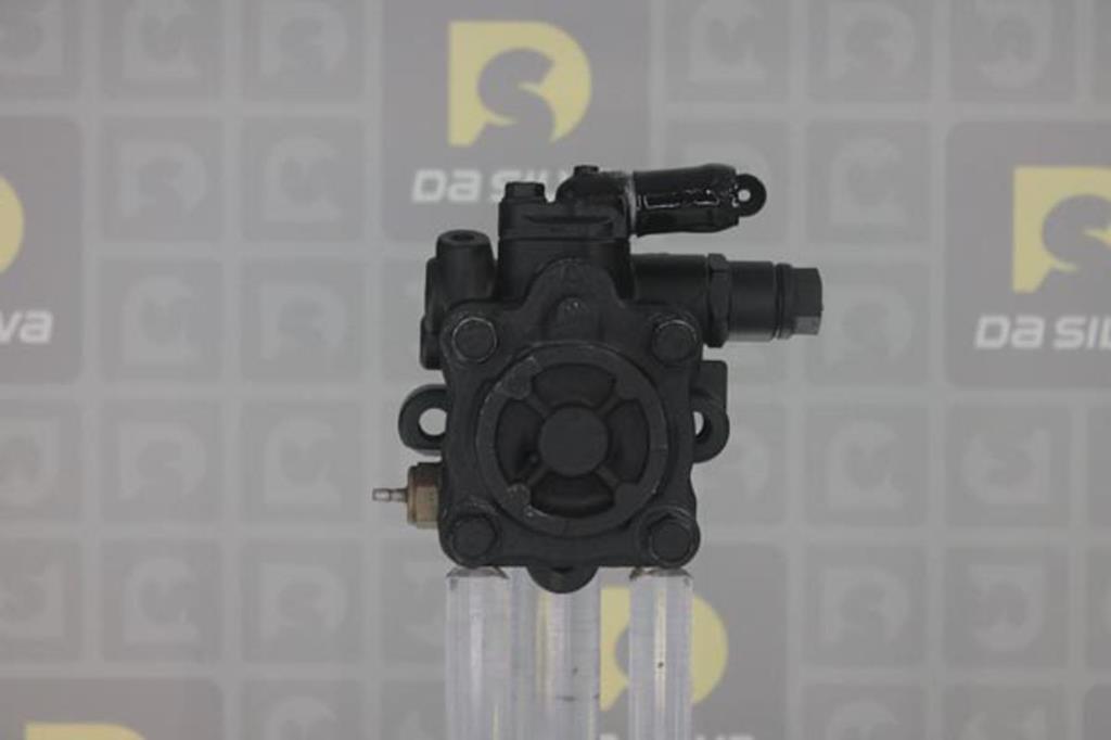 Pompe de direction assistée (Servo direction) DA SILVA S.A.S. DP3273