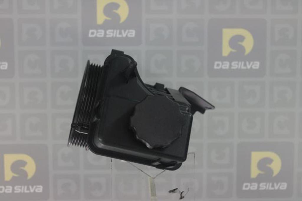 Pompe de direction assistée (Servo direction) DA SILVA S.A.S. DP3280