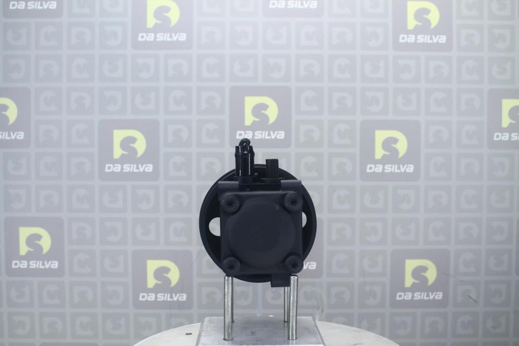 Pompe de direction assistée (Servo direction) DA SILVA S.A.S. DP3352
